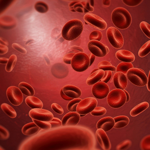 Ilustração de glóbulos vermelhos circulando no sangue, representando alterações hematológicas como a anemia ferropriva.